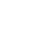 white large tranpsarent logo