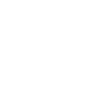 white large tranpsarent logo